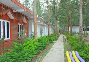 Coorg Nest Cottages