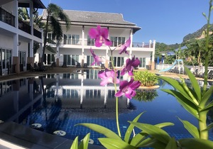 Nadivana Serviced Apartments