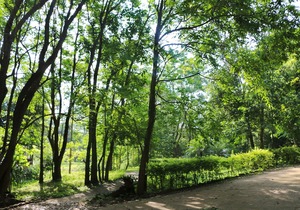 Baan Maka Nature Lodge