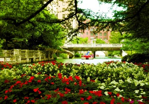 Courtyard by Marriott San Antonio Six Flags at The Rim