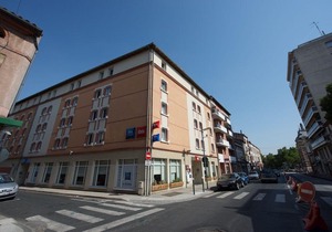 Ibis Albi