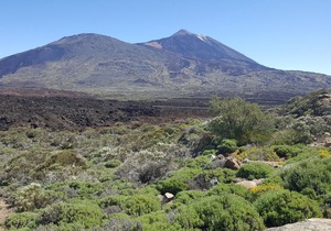 Hotel El Tejar