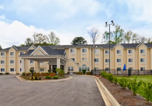 Microtel Inn & Suites by Wyndham Gardendale