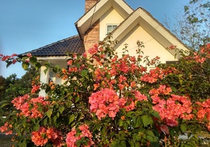 Tehel Farmhouse