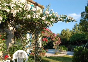 B&B Vento di Rose