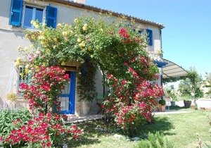 B&B Vento di Rose