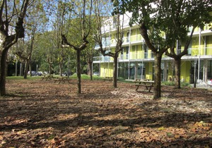 Green Nest Hostel Uba Aterpetxea