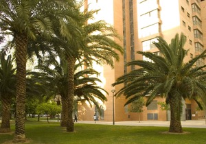 Apartamentos Plaza Picasso