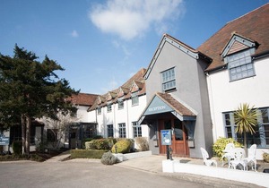 The White Swan