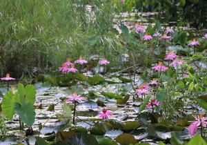Baan Maka Nature Lodge