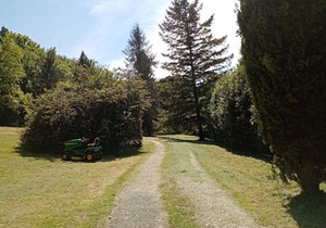 Le Cheminard
