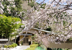 Takimotokan Yuki No Sato