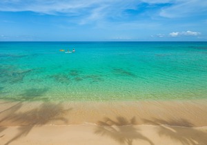 Waves Hotel & Spa by Elegant Hotels - All Inclusive