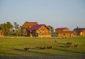 Zion Mountain Ranch