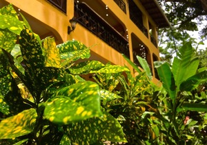 Mango Moon Villa