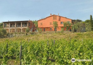 Agriturismo La Burlanda