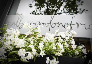 Albergo d'Onofrio
