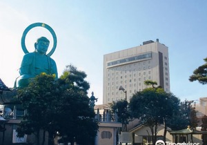 Hotel New Otani Takaoka