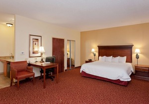 Hampton Inn & Suites McComb