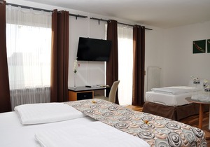 Hotel Torwirt