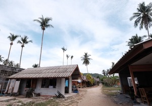 Monkey House