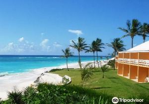 Coco Reef Bermuda