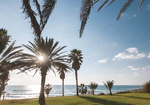 Venus Beach Hotel
