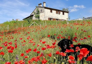 Casale le Orme