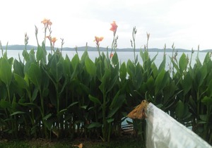 Barelang Bridge Hotel