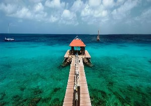 Divi Flamingo Beach Resort