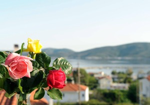 Triantafilia Guesthouse