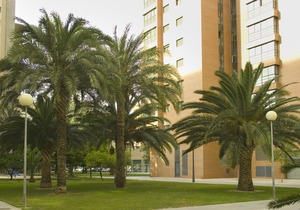Apartamentos Plaza Picasso