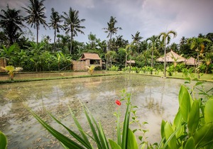 Keramas Sacred River Village