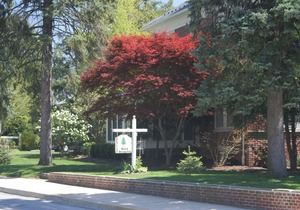Red Lion Bed & Breakfast