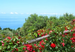 Borgo Rosso di Sera Resort Country Chic
