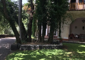 Domus Verdiana