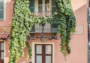 Antico Tralcio