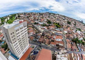 Ibis Jacarei