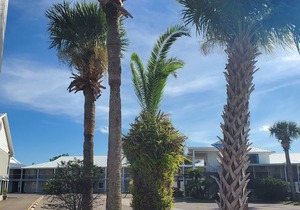 Best Western Space Shuttle Inn