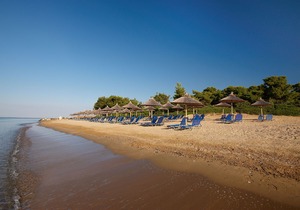 Blue Dolphin Hotel