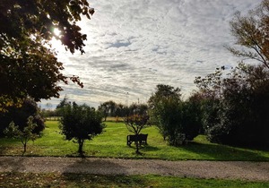 SoloQui B&B