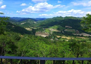 Fortebraccio