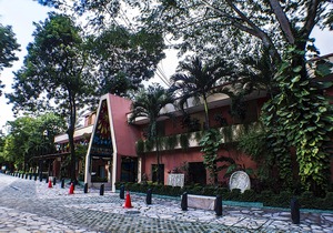Hotel Maya Tulipanes Palenque