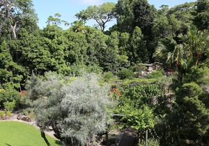 Licuala Lodge