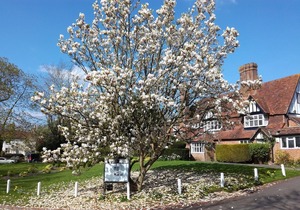 The Brickwall Hotel