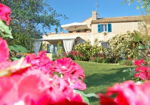 B&B Vento di Rose