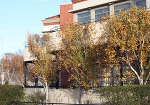 Captain's Retreat Apartments and Cottages