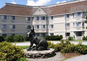 Black Bear Inn and Conference Center