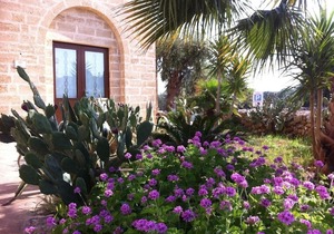 Masseria Ruri Pulcra