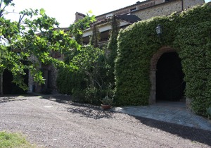 Bosco Della Spina